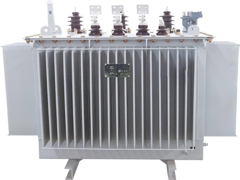 1000kVA Oil Immersed Distribution Transformer for China Industrial Park